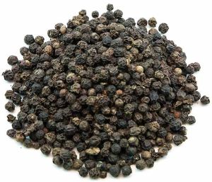 Black Pepper Seeds