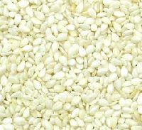 Indian Sesame Seeds