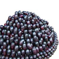 Frozen Jamun Pulp