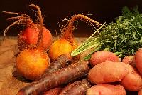 root vegetables