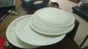 Disposable Paper Plates