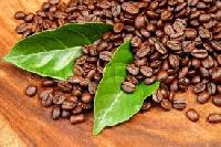 Arabica Coffee Beans