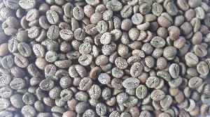 Robusta A Green Coffee Beans