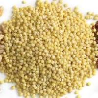 foxtail millets