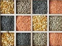 Indian Pulses