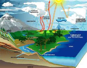 Environmental Assessment Study Services