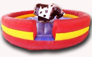 Mechanical Bull Kiddie Ride