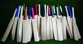 Popular Willow Cricket Bats