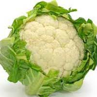 Fresh Cauliflower