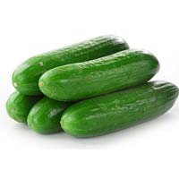 Fresh Cucumber