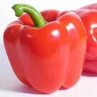 Fresh Red Capsicum