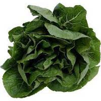 Fresh Spinach