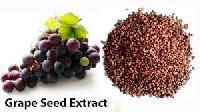 Grape Seed Extracts