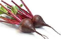 Fresh Beetroot