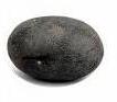 Shaligram Stone