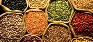 Indian Pulses