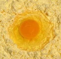 Egg Yolk Powder