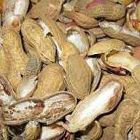 Groundnut Husk Briquettes