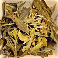 White Tea Leaves