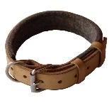 Leather Dog Collar