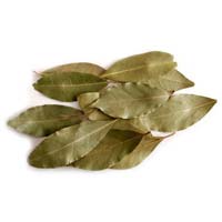 Dried Bay Leaf