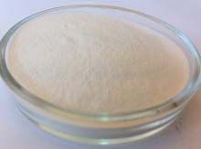 Papain Refined Powder