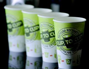 Cup Stock Paper