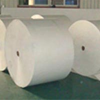 Poly Coated Paper