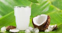 Tender Coconut Water