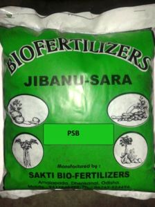 Phosphorus Biofertilizer