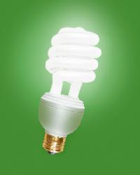 Compact Fluorescent Light