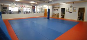 Grappling Mats