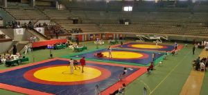 wrestling mats