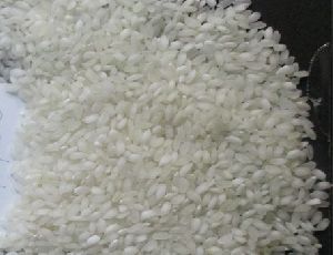Round Grain White Rice