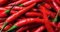 Fresh Red Chilli