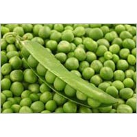 Peas Seeds