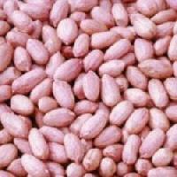 HPS Groundnut Kernels Bold