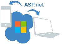 ASP.NET Application Development Services