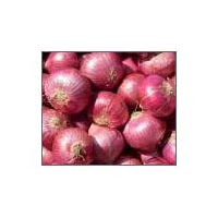 Onion