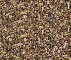 Carom Seeds