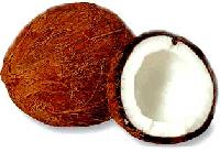Coconut - 01