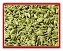 Fennel Seeds