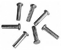 Stainless Steel Rivets