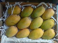 kesar mango