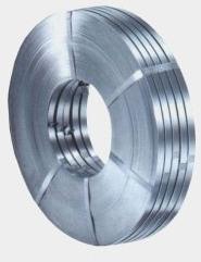 Stainless Steel Strip