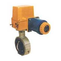 Electric Actuators