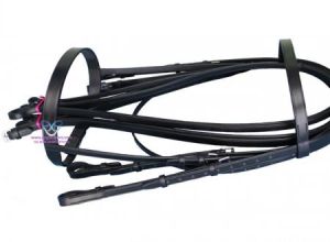 Sedgwick Waymouth Bridle