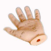 KK-099: Hand acupuncture model 13cm