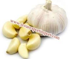 Fresh Garlic