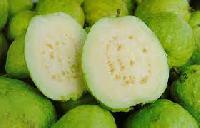 White Guava